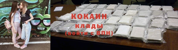 тгк Ладушкин