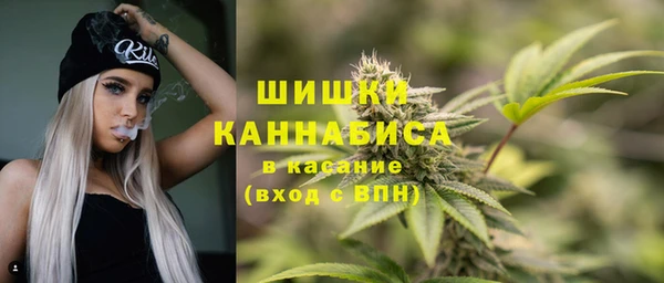 тгк Ладушкин