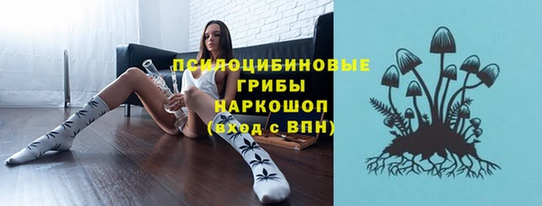 шишки Березники