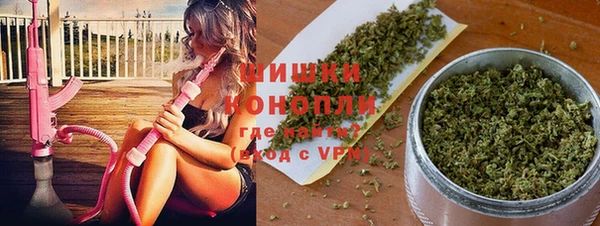 шишки Березники