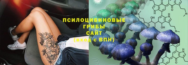 винт Куйбышев